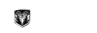 RAM