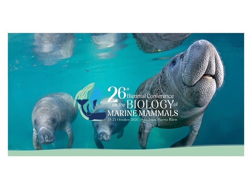 Society for Marine Mammalogy (SMM): 26th Biennial Conference on the Biology of Marine Mammals 2026